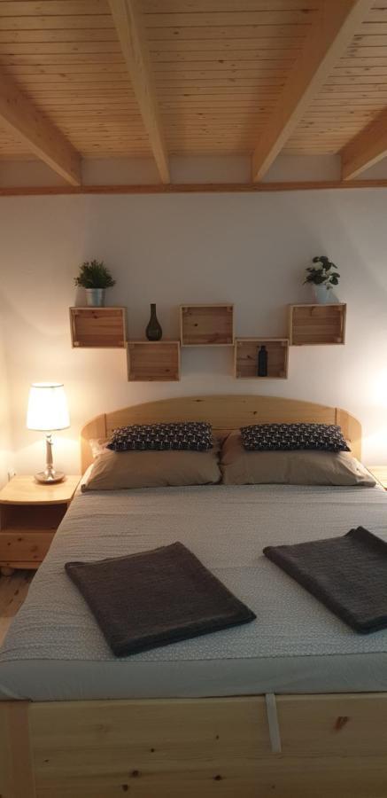 Lara Downtown Apartment Budapeszt Zewnętrze zdjęcie
